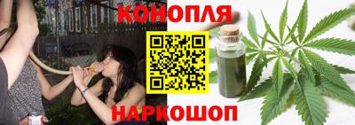 гидра Ачхой-Мартан