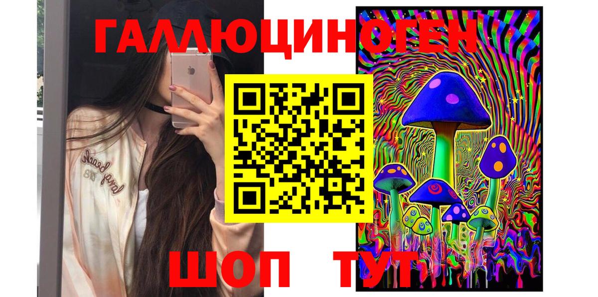 Псилоцибиновые грибы Cubensis Алейск