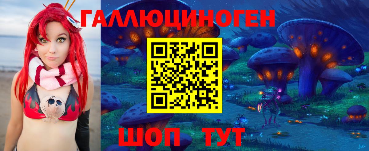 Псилоцибиновые грибы GOLDEN TEACHER  Вход с VPN  Алейск 